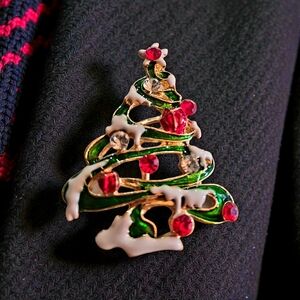 Source Unknown Holiday Green and Red Brooch
